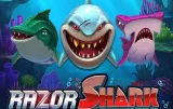 Razor Shark
